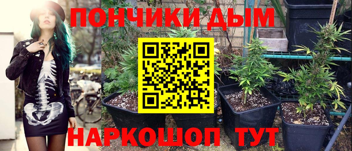 Камень-на-Оби  Шишки марихуана SATIVA & INDICA  Вход с VPN  Бошки марихуана MAZAR  Шишки марихуана конопля 